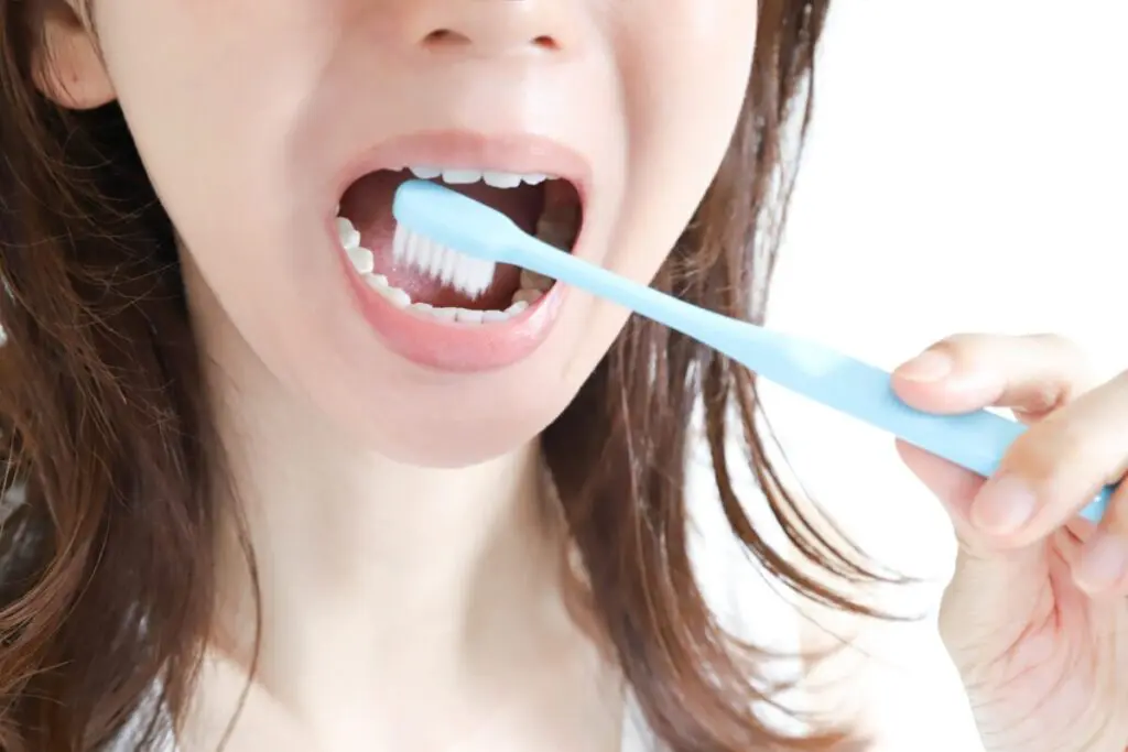 大人気！プラチナナノ歯ブラシ「manmou（万毛）」で口腔ケアを向上